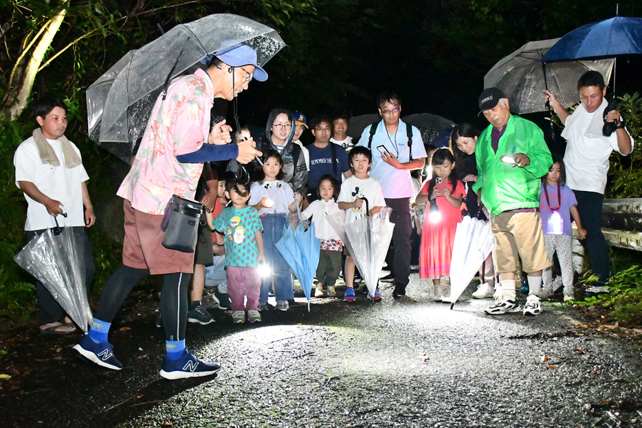 ヒメハブを観察する参加者ら＝24日、鹿児島県瀬戸内町