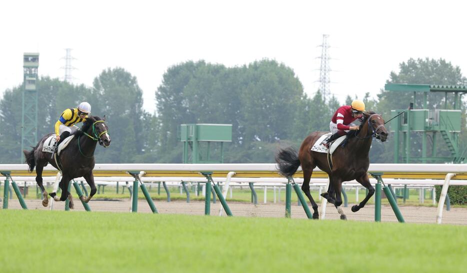 　５Ｒ新馬戦を制したゴーソーファー（右）＝撮影・西岡正