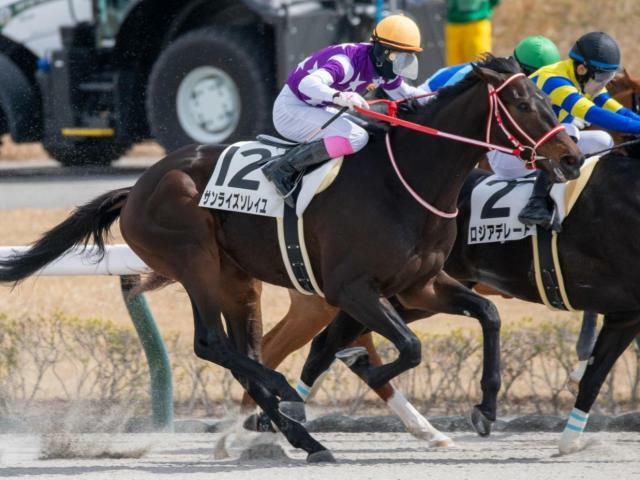 重賞初制覇を目指すサンライズソレイユ(今年3月撮影、ユーザー提供：起きたろさん)