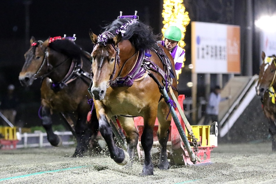 ばんえいグランプリ・メムロボブサップと阿部武臣騎手 (C)ばんえい十勝