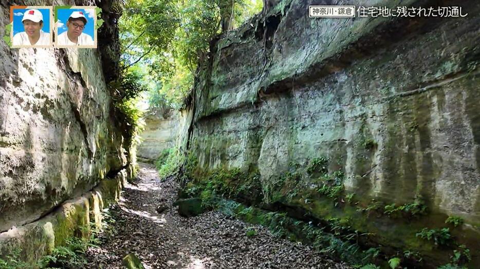 画像：CBCテレビ『道との遭遇』