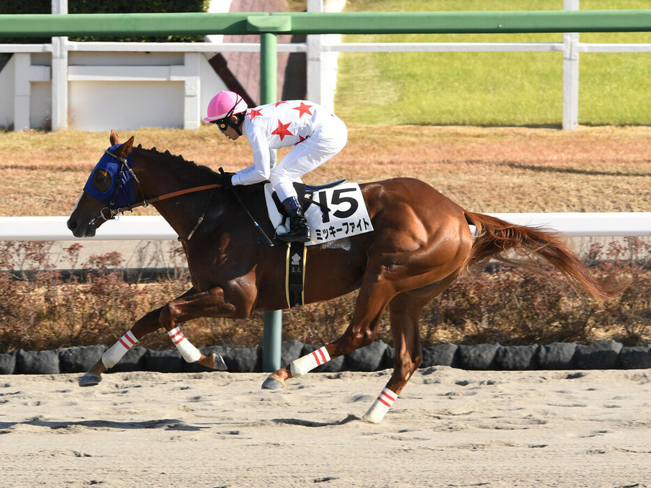 重賞初勝利を狙うミッキーファイト　photo by Sankei Visual