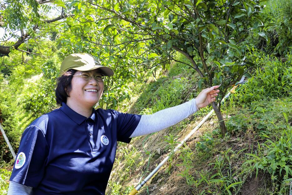 就農を目指し、「みかん学校」で学ぶ黒沢敬子さん＝愛媛県宇和島市