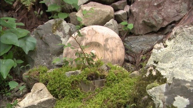 木の根元に置かれた樽のような骨壺