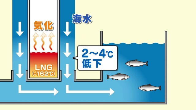 中京テレビNEWS