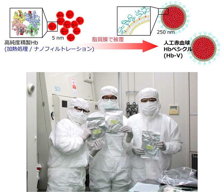 献血から取り出した赤血球を脂質の膜で覆う、人工赤血球製剤のイメージ図（上）。日赤からの献血提供後の工程は全て院内で取り組んでいる（奈良県立医科大学附属病院提供）