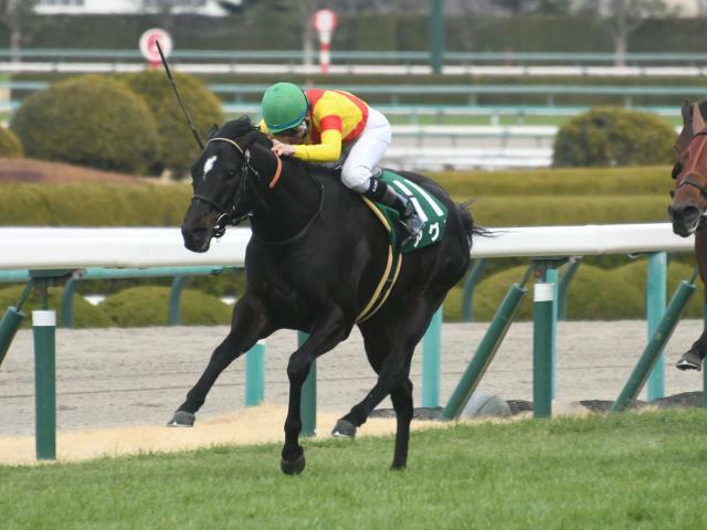 重賞2勝目を狙うアグリは8枠16番(c)netkeiba