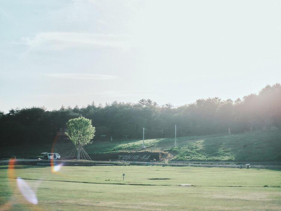 写真左奥に写るのが、TOKIO-BAのシンボルツリー「neighbor tree（ネイバーツリー）」