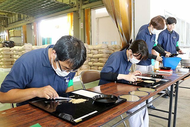 「てんたかく」を調べる検査員＝となみ野ライスターミナル