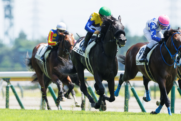 8月4日の新潟3R、芝1800mの新馬戦を勝利したジェゼロ