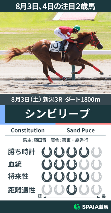 8月3日の新潟3R・新馬戦を勝利したシンビリーブのデータ