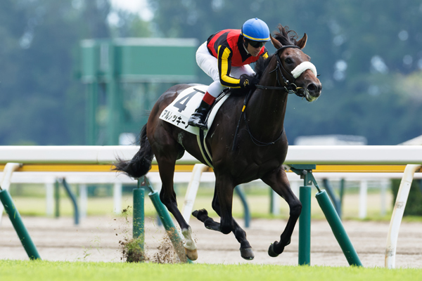 8月3日の新潟2R、芝1600mの2歳未勝利戦を勝利したアルレッキーノ