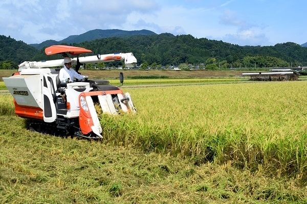 日差しが照り付ける中での作業（21日午前9時45分ごろ）