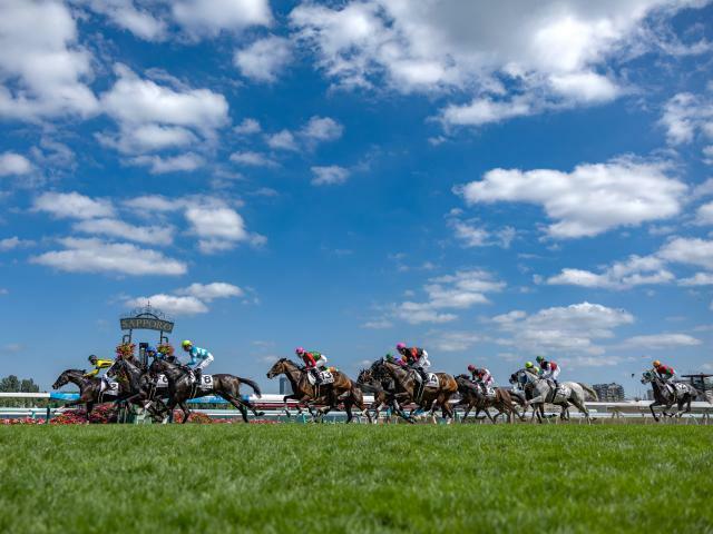 札幌記念が行われた札幌競馬場(撮影:山中博喜)