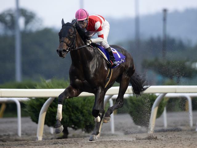 フジユージーンは6枠8番(提供：岩手県競馬組合)