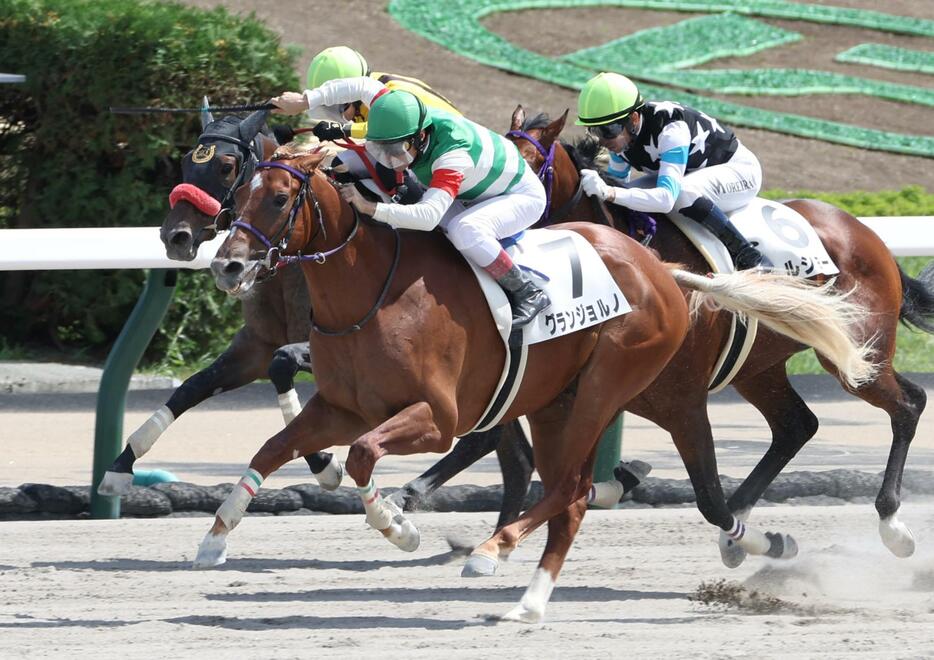 　外から一気に他馬をかわすグランジョルノ（手前）