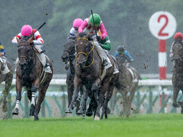 札幌5R新馬戦を制したダイシンラー(撮影：山中博喜)