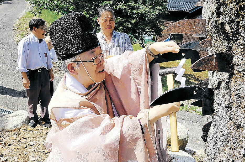 神木に鎌を打ち込む宮司＝２７日午前１０時２０分、中能登町藤井の住吉神社