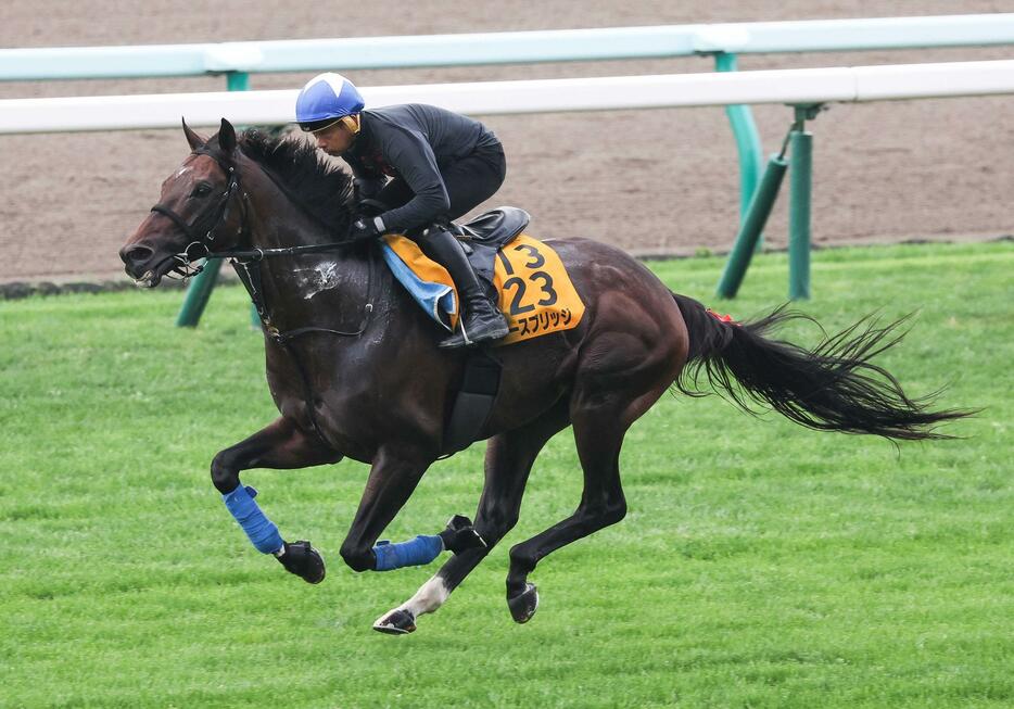 　岩田康を背に札幌芝で軽快な動きを見せたノースブリッジ