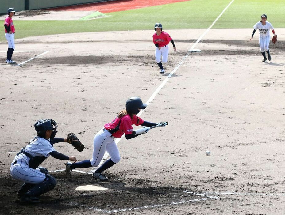 熱戦を繰り広げる至誠館大と平成国際大の選手（２０日、和歌山県田辺市上の山１丁目の田辺スポーツパーク野球場で）