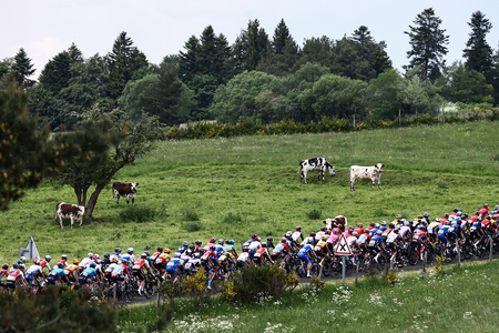 自転車ロードレース、クリテリウム・ドゥ・ドーフィネの第1ステージに臨む集団（2023年6月4日撮影）。