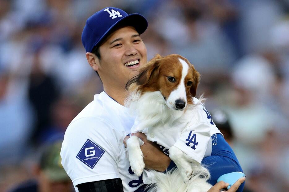 セレモニー後に大谷に抱きかかえられるデコピン。(C)Getty Images