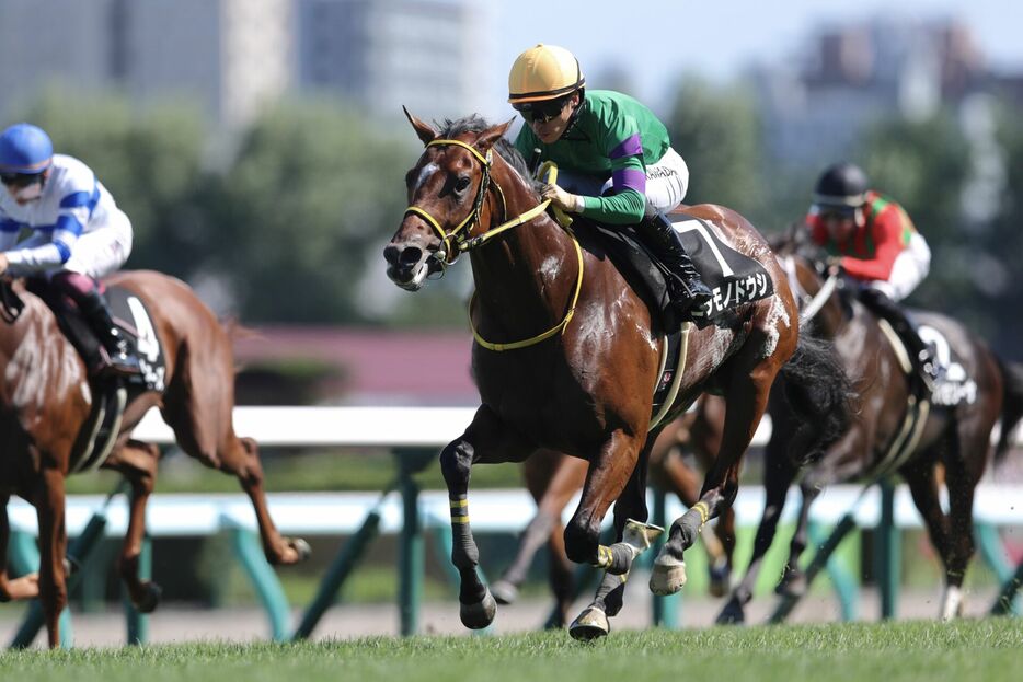 クローバー賞・ニタモノドウシと川田将雅騎手