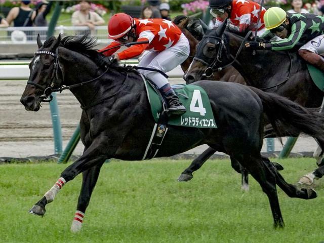 七夕賞を制したレッドラディエンス(今年7月撮影、ユーザー提供：zatsumuさん)