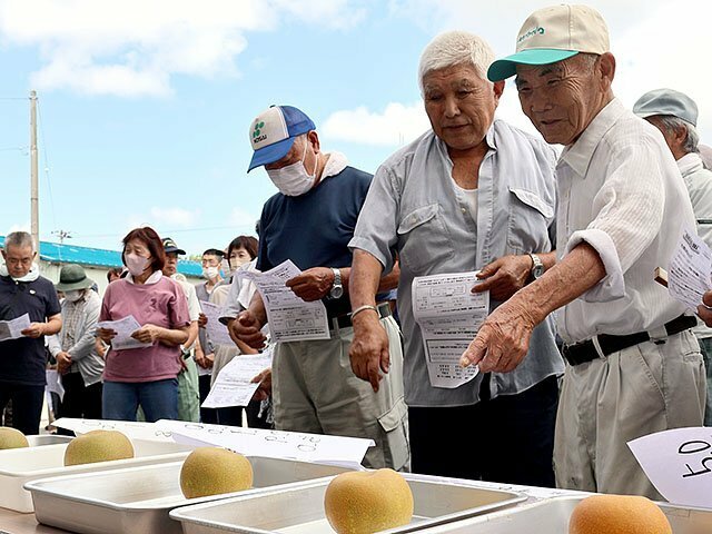 見本のナシで出荷時期の目安を確認する出席者