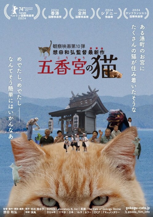 映画『五香宮の猫』チラシ