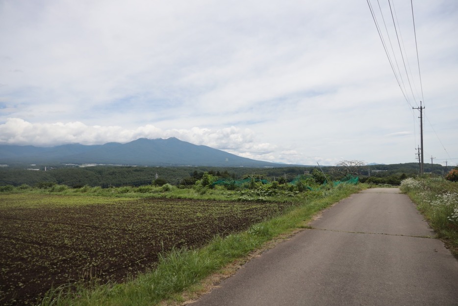 写真：Bicycle Club