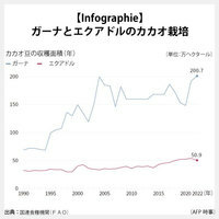 【Infographie】ガーナとエクアドルのカカオ栽培