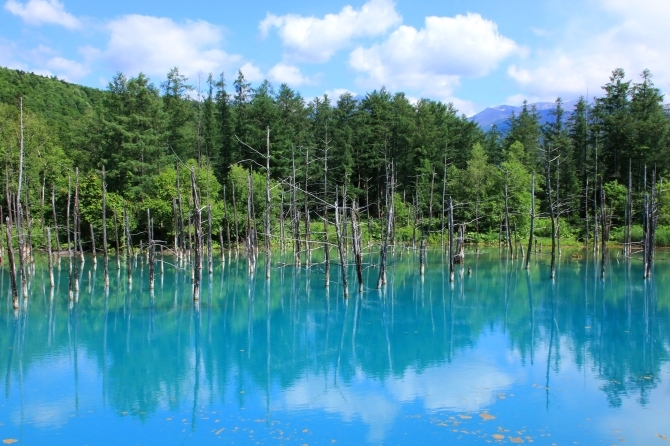 目を見張るほど神秘的な青色の水面が特徴