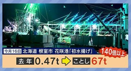 2023年の140倍以上の水揚げ