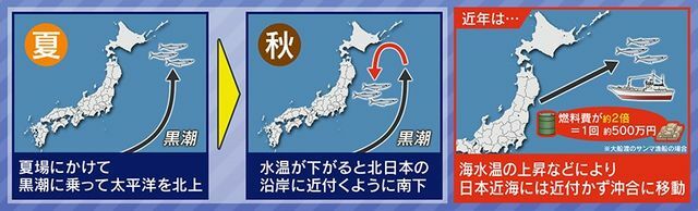 近年のサンマ“高騰”の要因