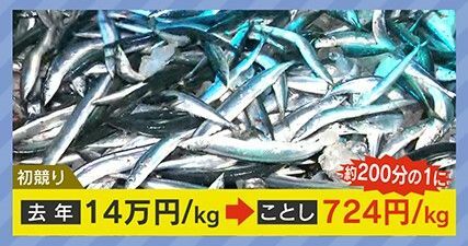 初競りの価格も約200分の1に