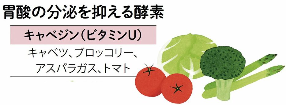 胃酸の分泌を抑える酵素（イラスト：小林マキ）