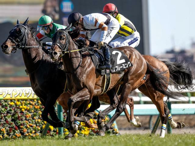 レースが行われる中京競馬場(c)netkeiba