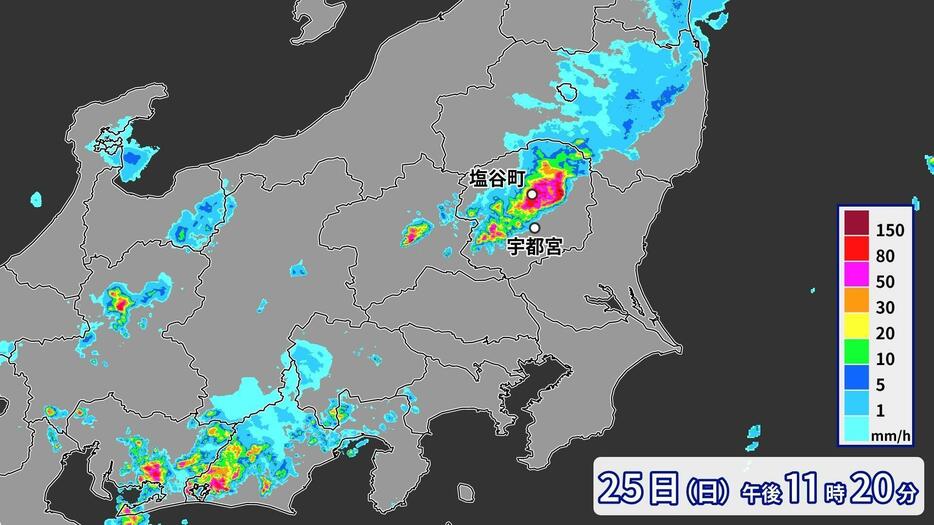 25日(日)午後11時20分の雨雲の様子