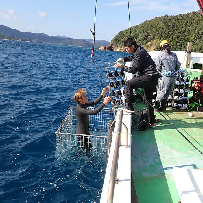 おいしいうえに海の環境保護にもつながる