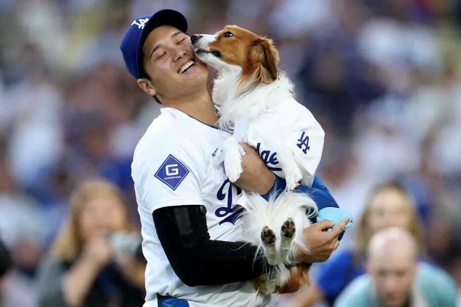 愛犬デコピンと始球式を行った大谷。試合では42号42盗塁を決めた(C)Getty Images