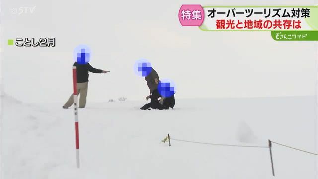 畑を踏み荒らされる被害