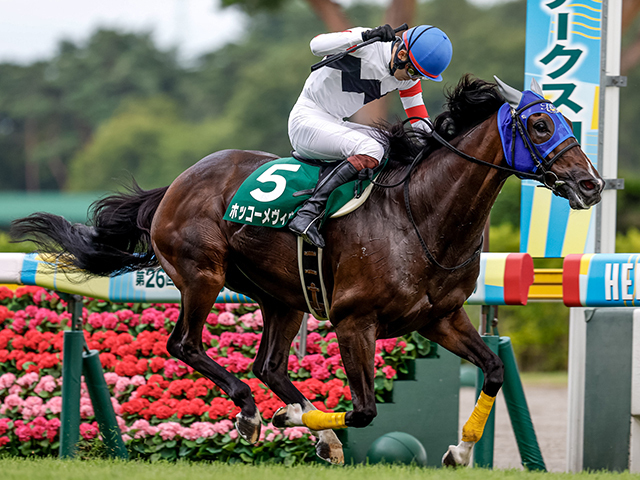 重賞連勝を狙うホッコーメヴィウス(撮影：下野雄規)