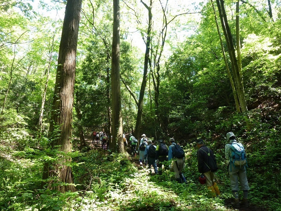 写真：ランドネ