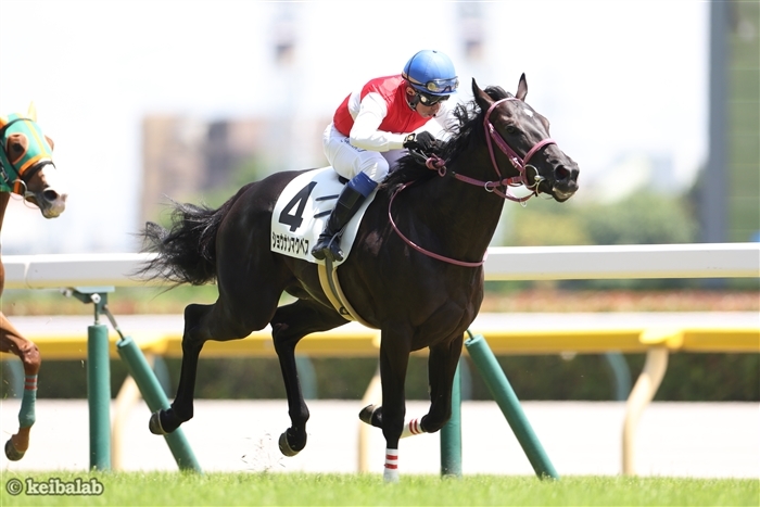 東京マイルで新馬勝ちしたショウナンマクベス