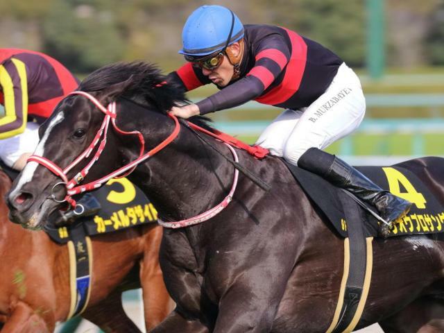 待望の2勝目を目指すホウオウプロサンゲ(今年3月撮影、ユーザー提供：あすりさん)