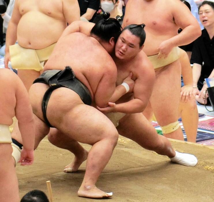 　ぶつかり稽古で胸を出す豊昇龍