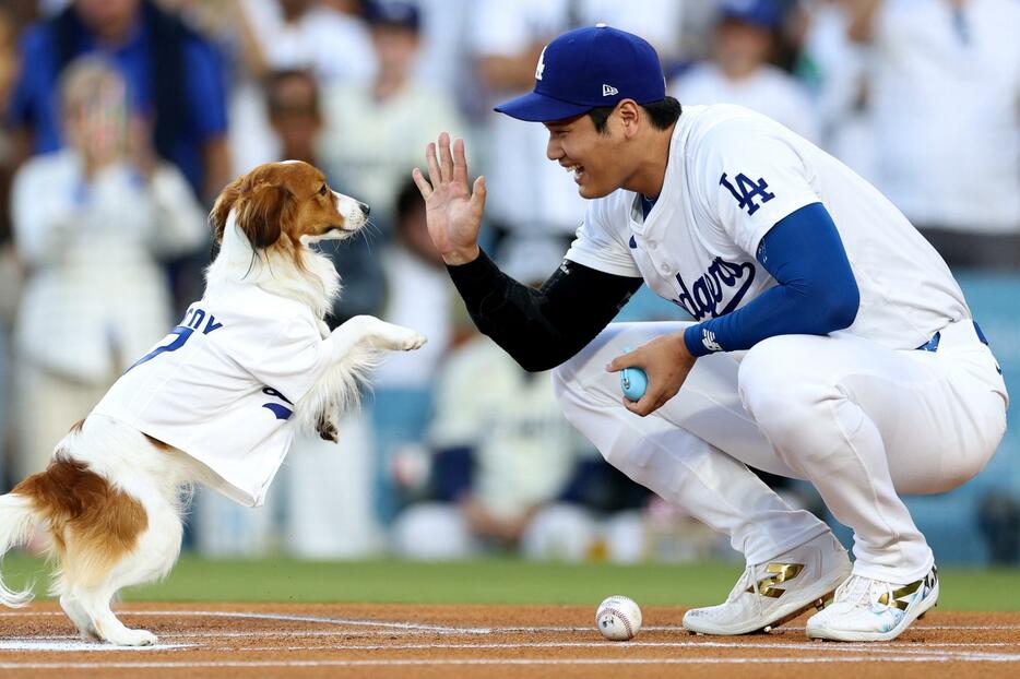 無事にセレモニーを終えたデコピンと大谷。ホームベース付近では見事にハイタッチも成功させた。(C)Getty Images