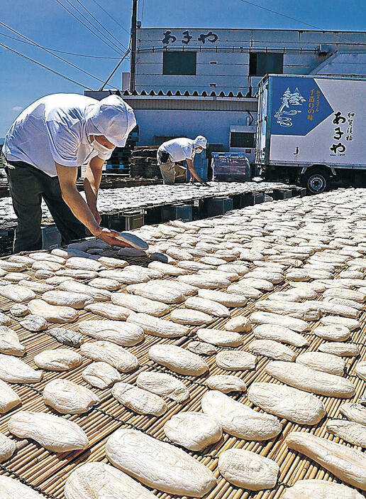 日差しを浴びて白くなるカタウリ=小松市梯町