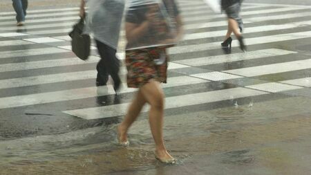 いきなり土砂降りの雨になるゲリラ豪雨は近年、増えているといいます（写真：kpw／PIXTA）